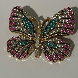 Beautiful Butterfly Brooch🦋